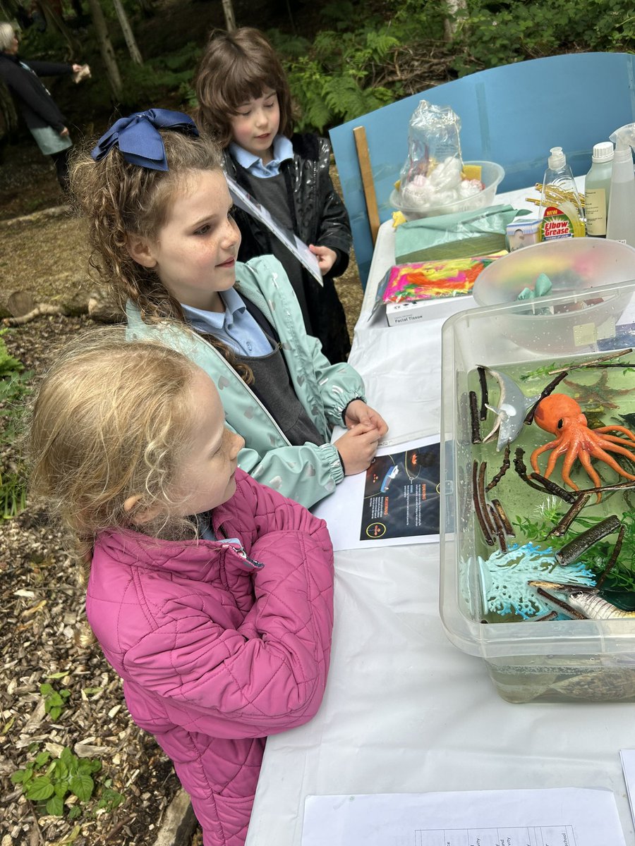 ctkrcps's tweet image. Y2 from @stcharlesrcpri1 are investigating oil spills in the environment for @GreatSciShare - George from Y2 said, ‘Why would you allow oil spills!’. @laudatosicentre @RCSalfordEd