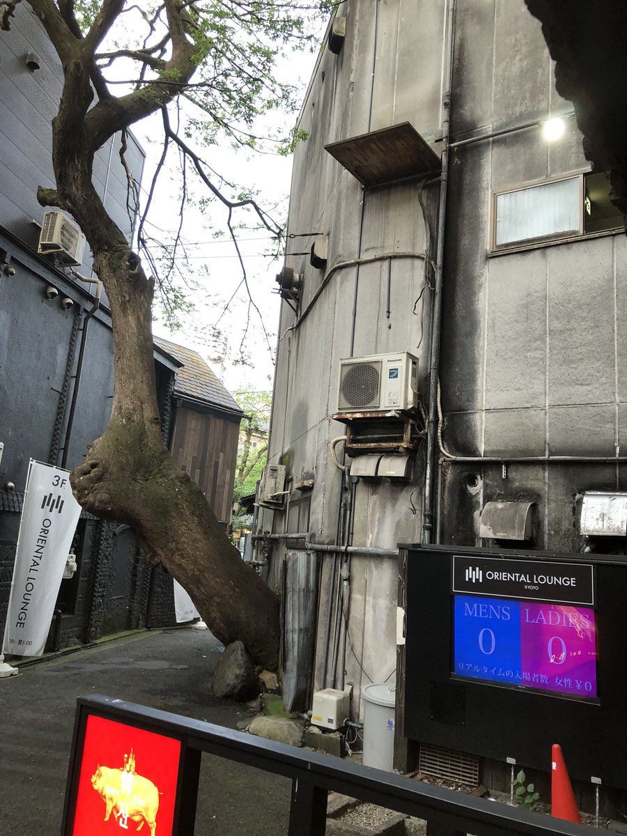 998shinya's tweet photo. 生命って凄い🙄 https://t.co/Of5n82neZn