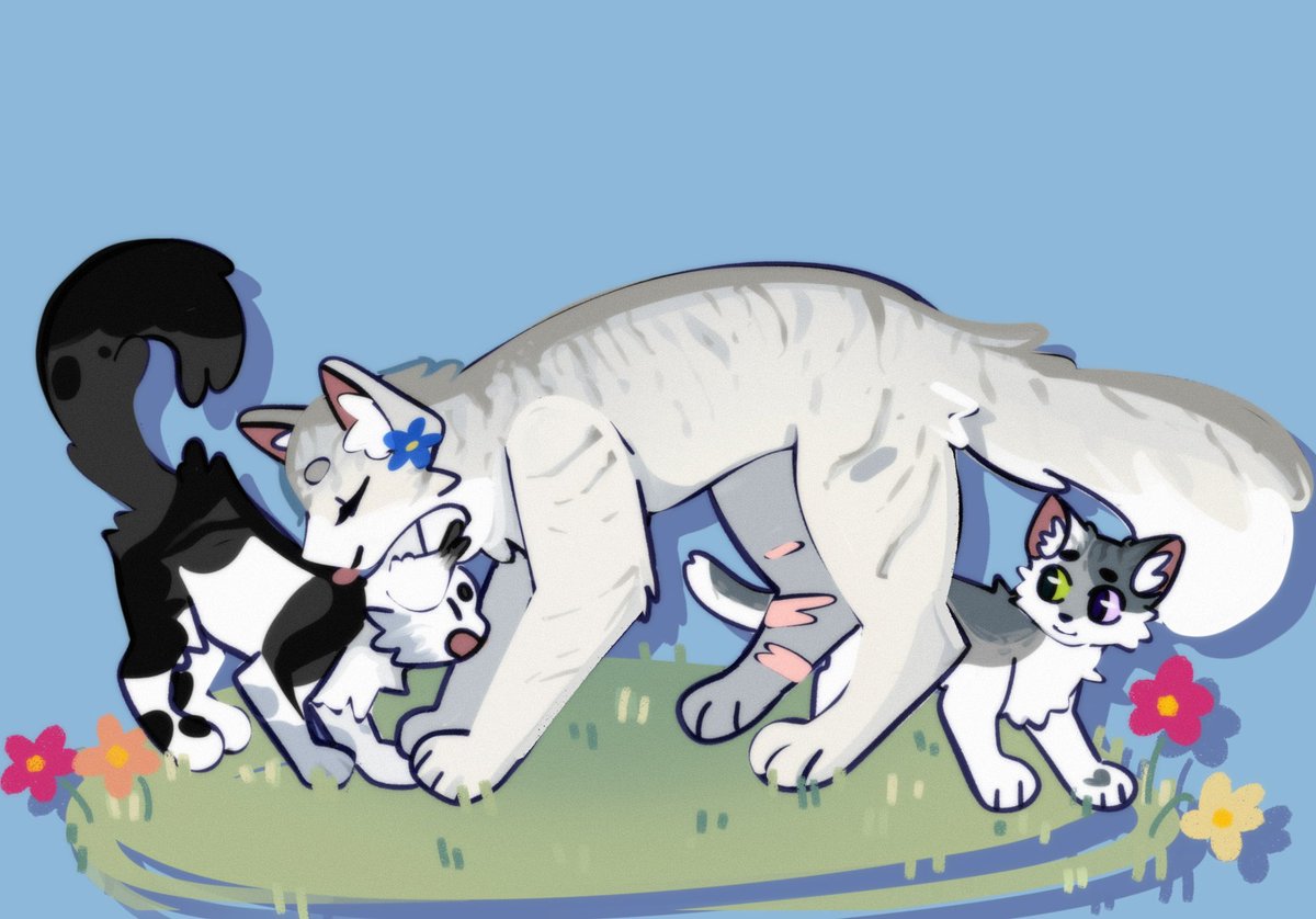 YourLocalRaccon's tweet photo. I’ve somehow gotten into warrior cats again. So I decided to make some silly little ocs!! The drawing isn’t fully rendered but oh well 

#warriorcats #warriors #oc #ocs #art #digitalart #digitalsketch #artmoots #smallartist https://t.co/2vPkgWoCDK