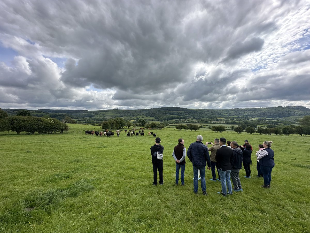 Jono Eckley tweet media