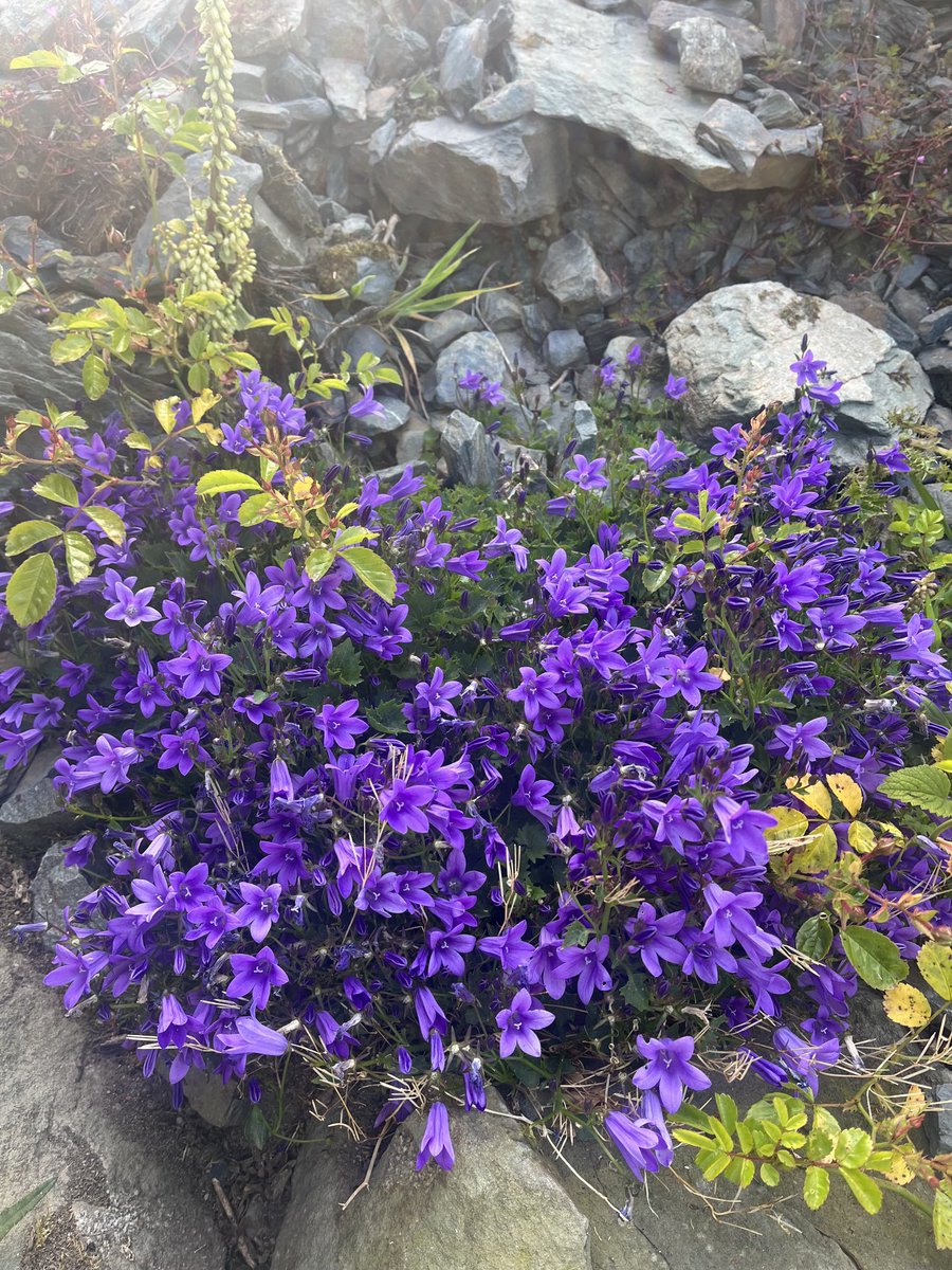 Another beautiful morning in West Cork 😉