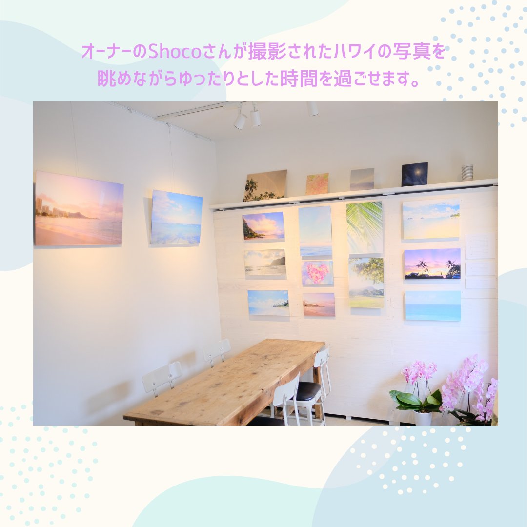 AlohaPhotoWorks's tweet photo. 6/15（土）に鎌倉紫陽花フォトツアーを開催します！
この時期ならではの紫陽花をふんわり可愛く撮影しませんか？撮影後は長谷にあるレイハナギャラリーさんで、撮影した写真の講評を行います。おいしいスコーンやコーヒーやお茶つきです！ @MuraiSachi 
参加者募集中です↓
https://t.co/81bRKmMfqf https://t.co/aQcuhFvnoL