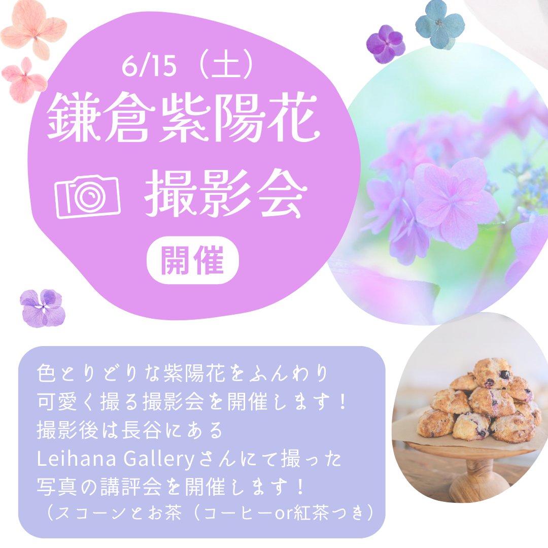 AlohaPhotoWorks's tweet photo. 6/15（土）に鎌倉紫陽花フォトツアーを開催します！
この時期ならではの紫陽花をふんわり可愛く撮影しませんか？撮影後は長谷にあるレイハナギャラリーさんで、撮影した写真の講評を行います。おいしいスコーンやコーヒーやお茶つきです！ @MuraiSachi 
参加者募集中です↓
https://t.co/81bRKmMfqf https://t.co/aQcuhFvnoL
