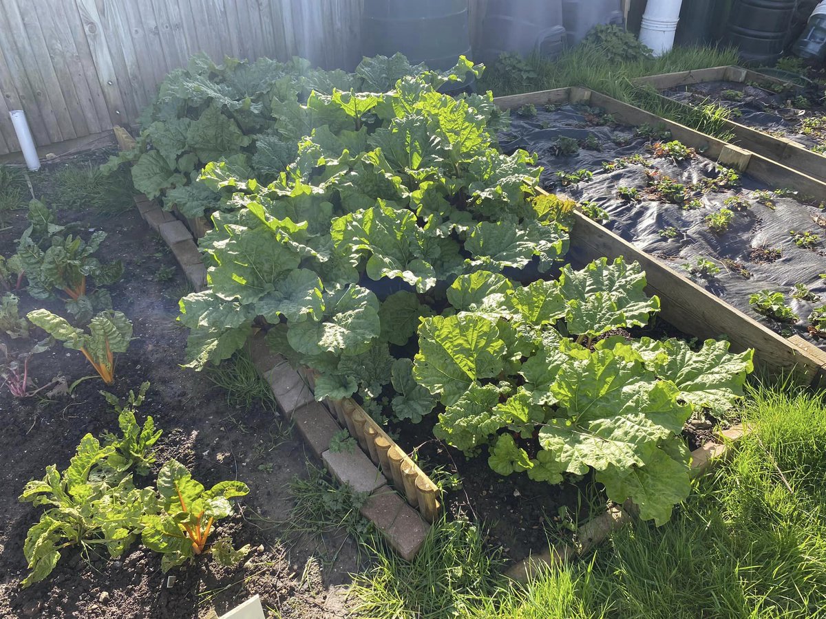 Arun & Chichester Food Partnership tweet media