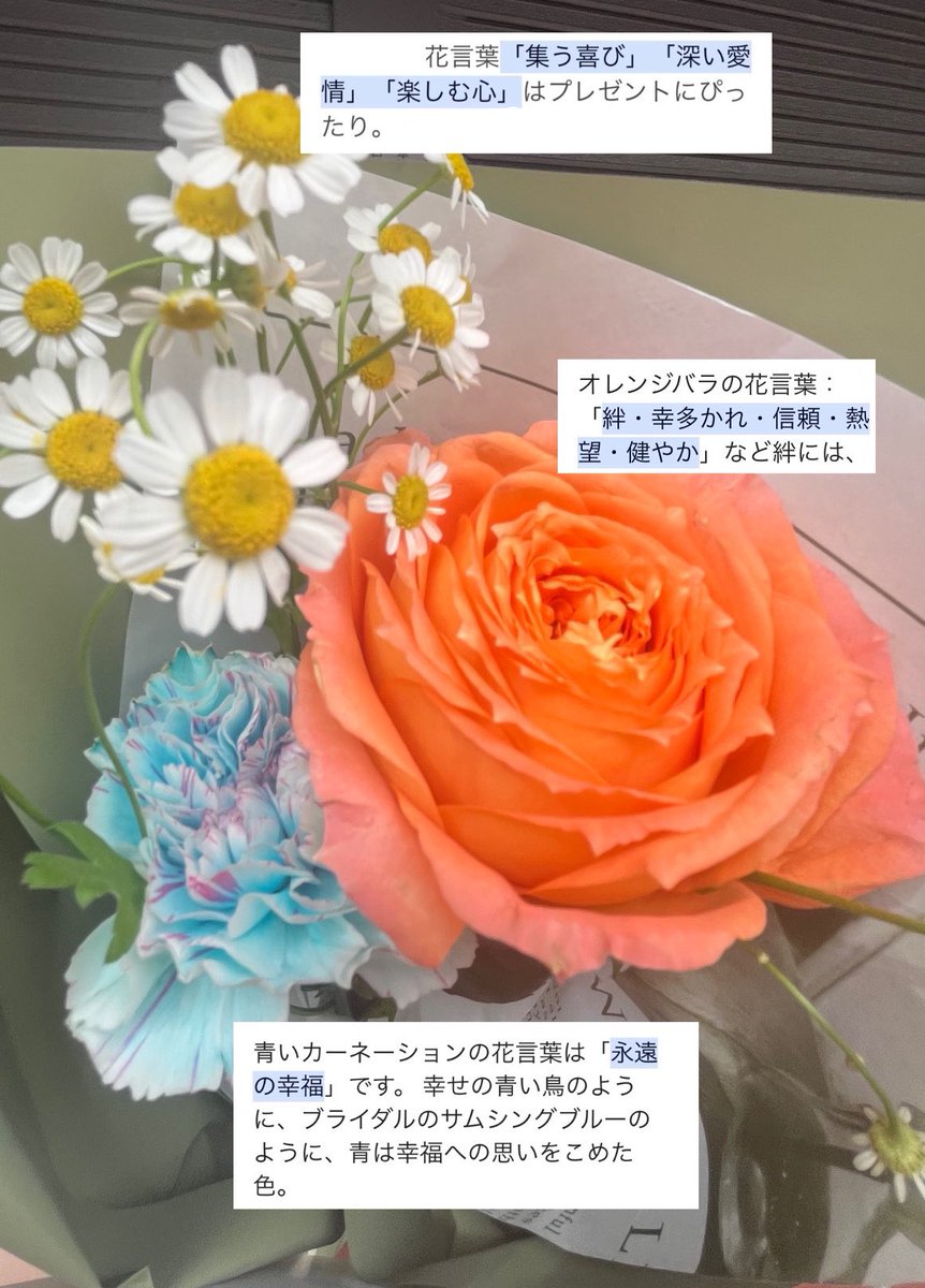 育 tweet media