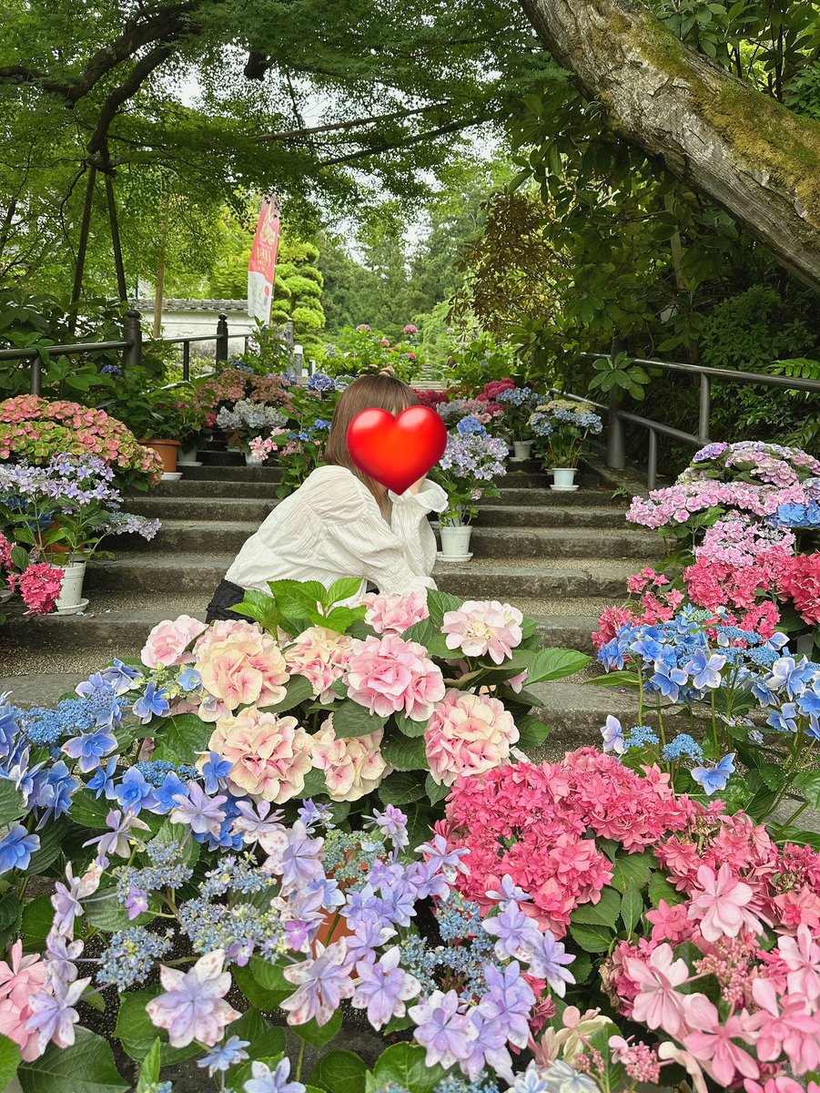 🌼なっちゃん🌼 tweet media