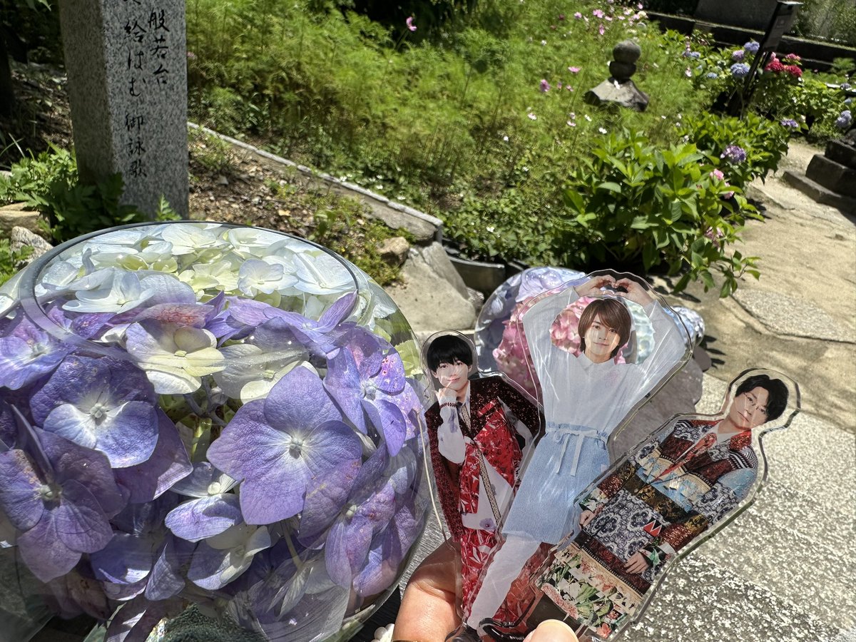 🌼なっちゃん🌼 tweet media