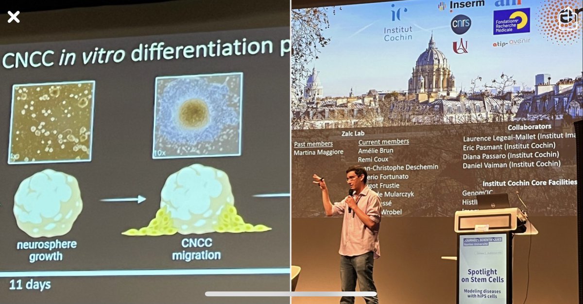 Cranial neural crest cells, stem cells then again stem cells... extraordinary destiny studied by Antoine Zalc. Fantastic talk at the Nantes Université science day.
#stemcell #nantesuniversity #gedine #antoinezalc