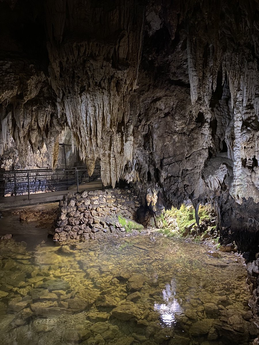 mattiaesp_'s tweet photo. Enjoyed a wonderful visit to the Grotte di Stiffe in Abruzzo! 🇮🇹 Nature’s beauty never ceases to amaze. #caves #nature #NatureExploration #Abruzzo https://t.co/Z115U9v6eY