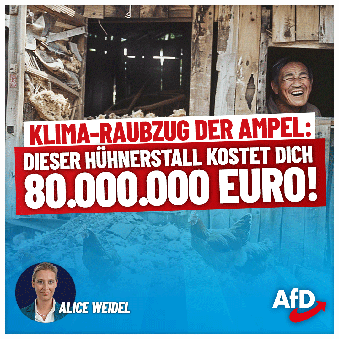 Alice_Weidel's tweet photo. Was uns die #Ampel als "#Energiewende" verkauft, ist in Wirklichkeit ein gut orchestrierter #KlimaRaubzug, bei dem Milliardensummen veruntreut werden und in undurchsichtigen Netzwerken versickern. Das fängt bei #Habeck's Vetternwirtschaftsministerium an und hört in verlassenen chinesischen Hühnerställen auf, für die der Steuerzahler mit 80 Millionen Euro Fördermittel zur Kasse gebeten wird. #DeshalbAfD #AfD https://t.co/hYOfuHxP7c