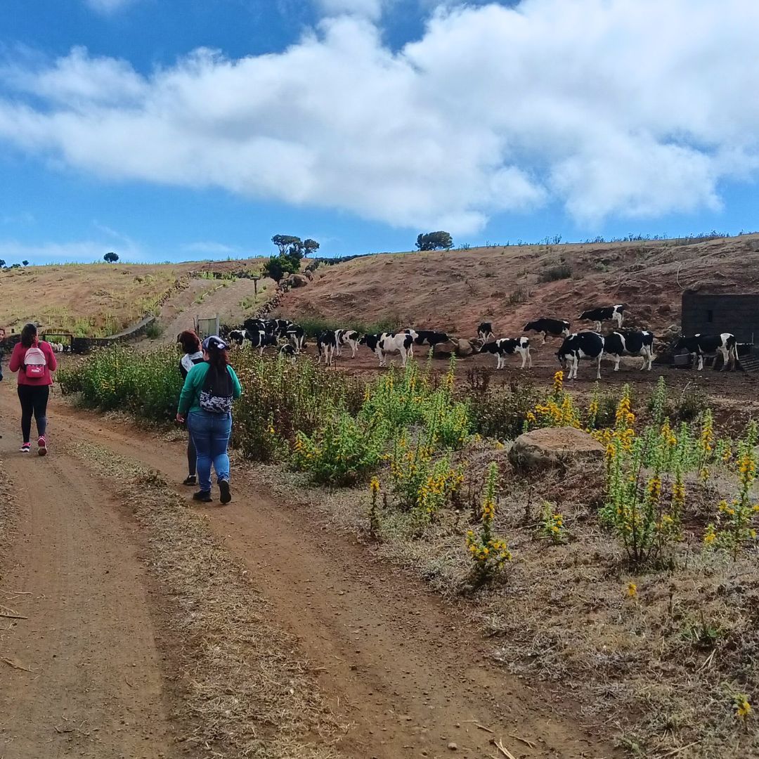 _aebia's tweet photo. Compartimos actividad en Servicio Insular de Atención Integral e Intervención Especializada a Víctimas de Violencia de Género en El Hierro. Taller de Encuentro en la Naturaleza: reconexión y apoyo mutuo. 💜
#Aebia #ViolenciaDeGénero https://t.co/4rJRZcly6e