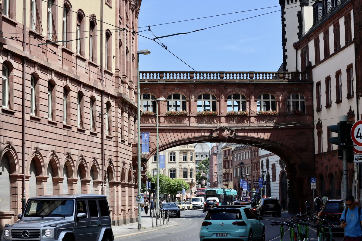 paras360 tweet media