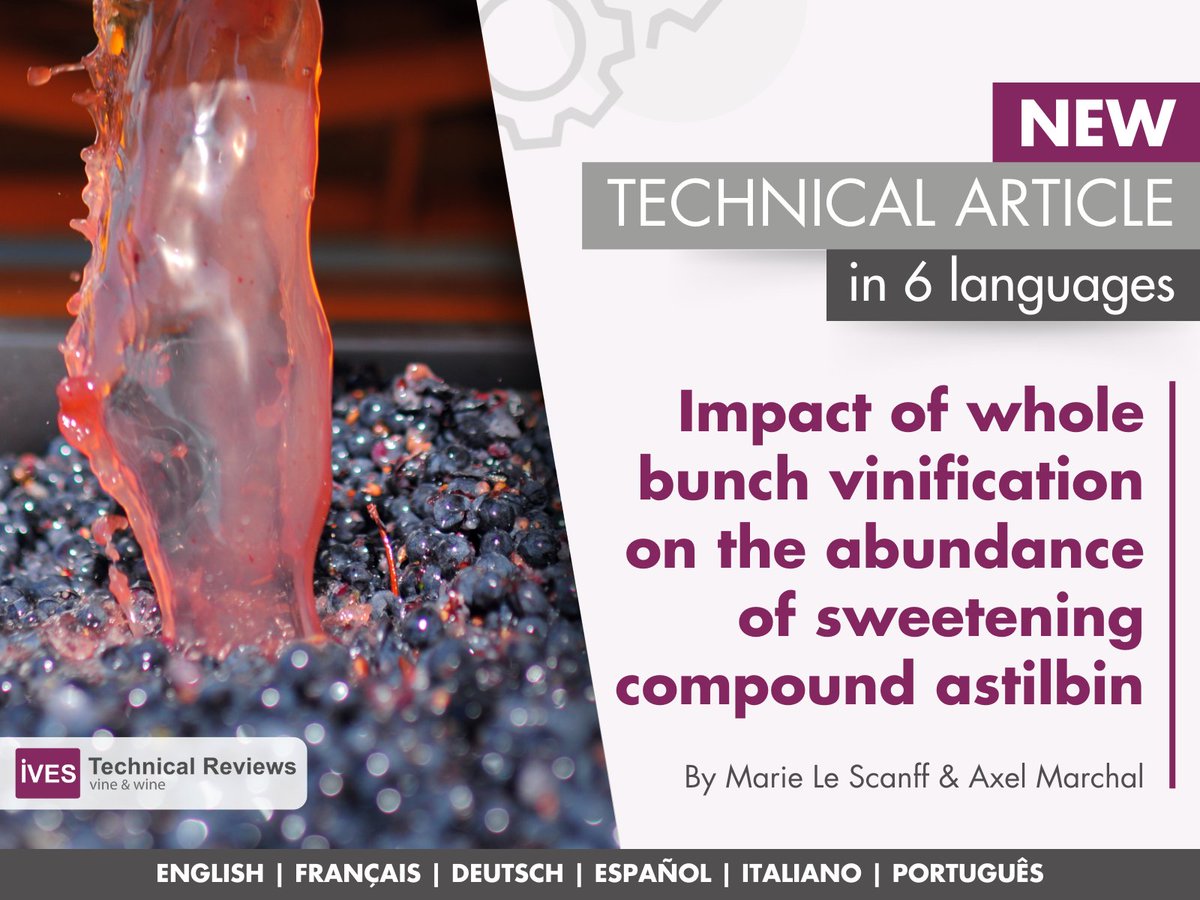 🍷"Impact of whole #bunch #vinification on the abundance of sweetening #compound astilbin" by Axel Marchal and Marie Le Scanff 🔍 NEW technical article on #IVESTechnicalReviews!

🔗 Freely available on: bit.ly/4bStjxn
🌍 In 6 languages: EN, FR, DE, ES, IT, PT

#wine
