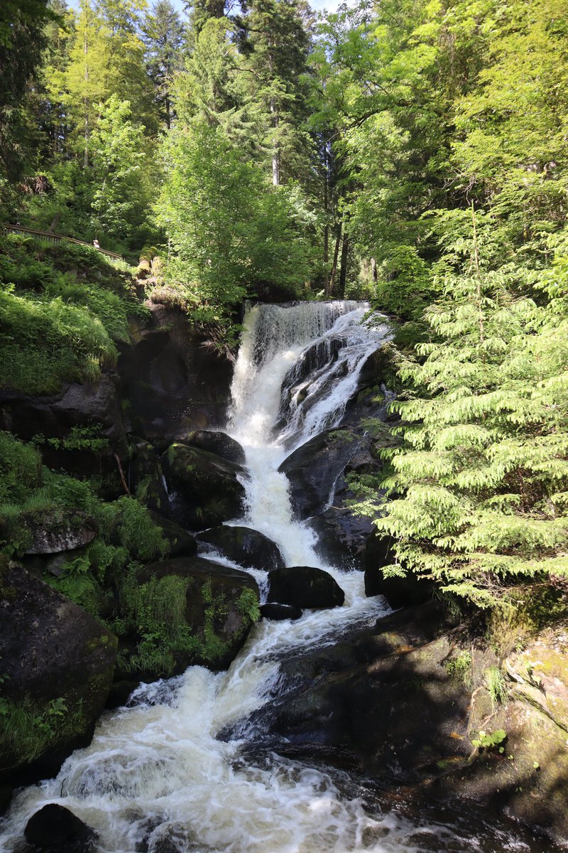 paras360 tweet media