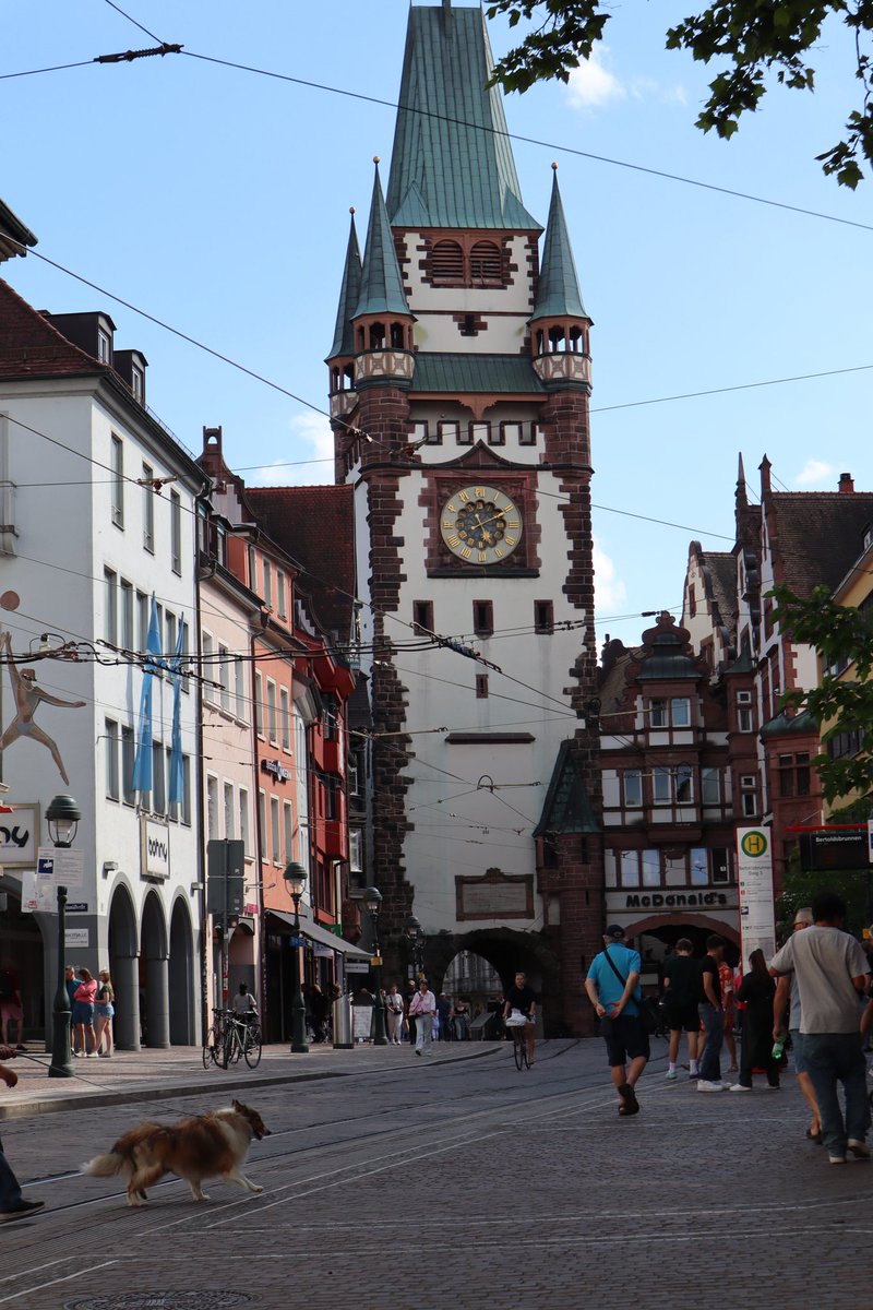 paras360 tweet media