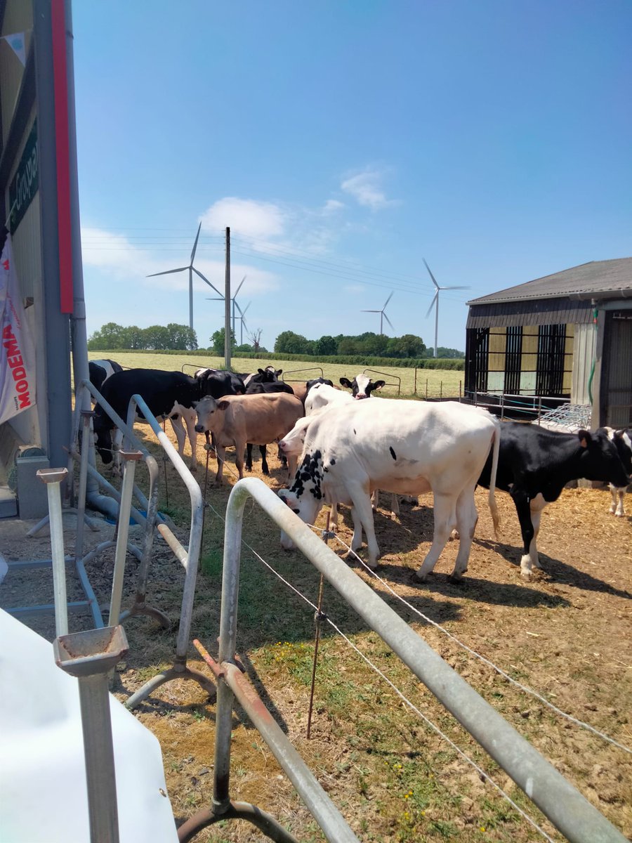 🌟 Ne manquez pas la 4e édition de Fermes en Fête par les JA de Chemillé ! 
🌙 Rando 6km, repas local, animations enfants 
📅 Dimanche 16 juin, 8h, Haut Virfolet, Rochefort-sur-Loire.