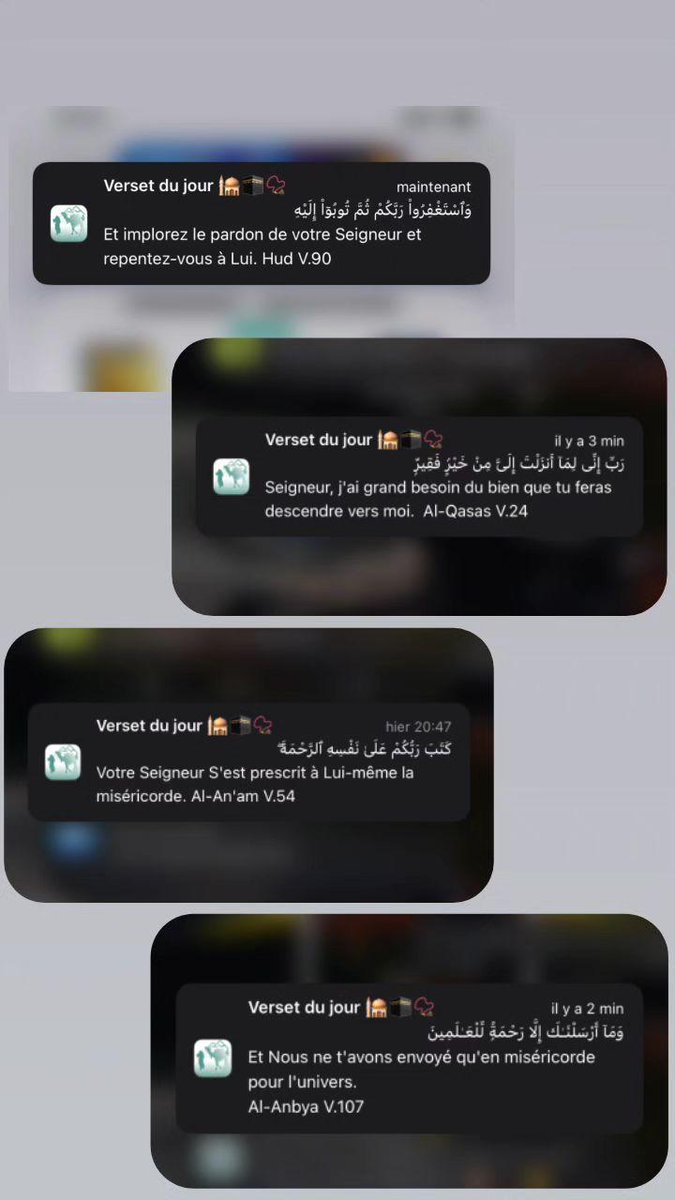 𝑺──★ 🇵🇸˙🍓 ̟ tweet media