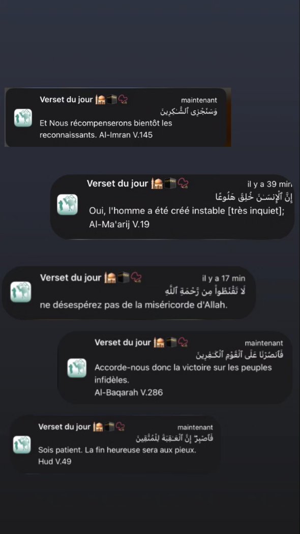 𝑺──★ 🇵🇸˙🍓 ̟ tweet media