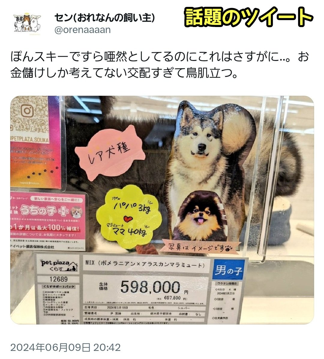 滝沢ガレソ tweet media