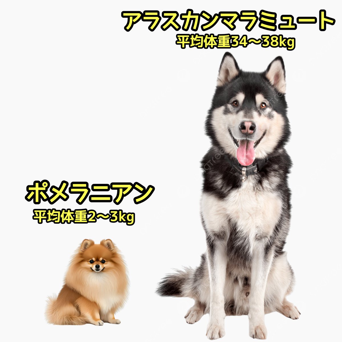 滝沢ガレソ tweet media