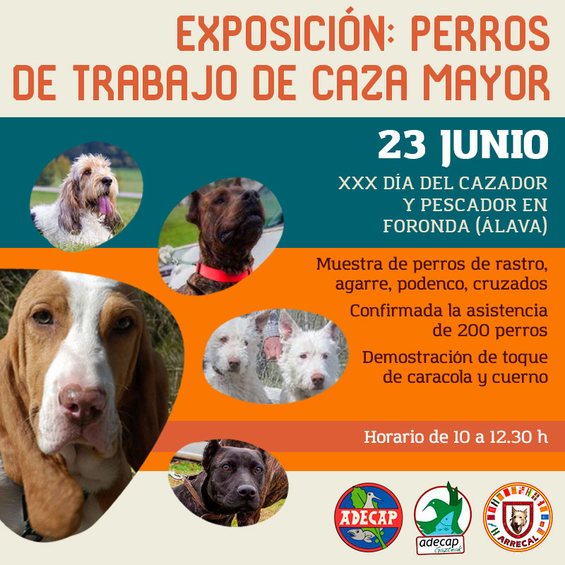 El 23 de junio estaremos con los amigos de <a href="/ADECAP_Caza/">ADECAP</a> celebrando el XXX Día del Cazador y Pescador.

Te esperamos en Foronda (Álava). ¡No te lo pierdas!