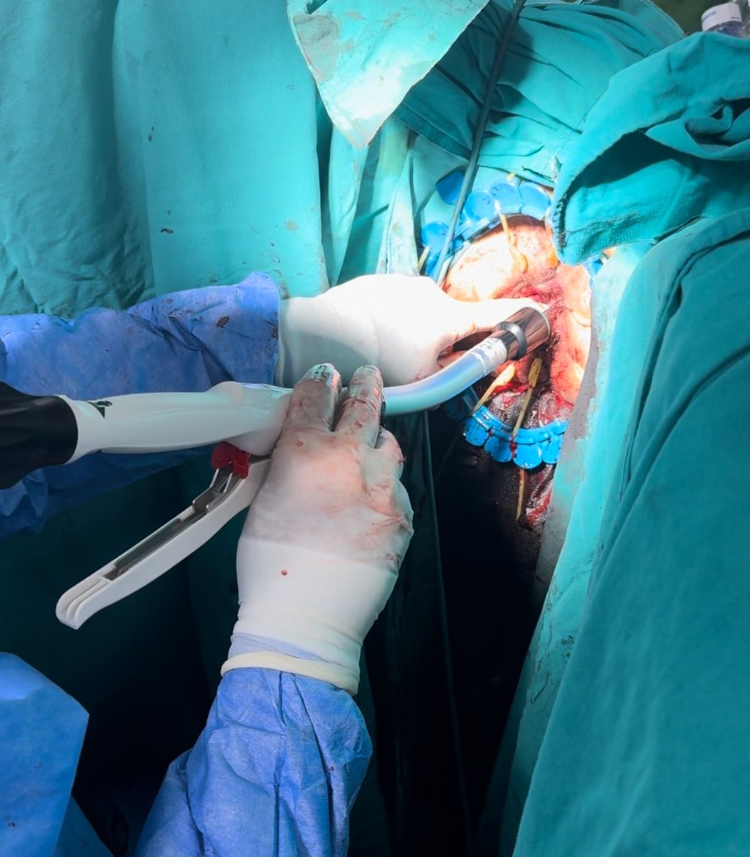 Salim İlksen Başçeken tweet media