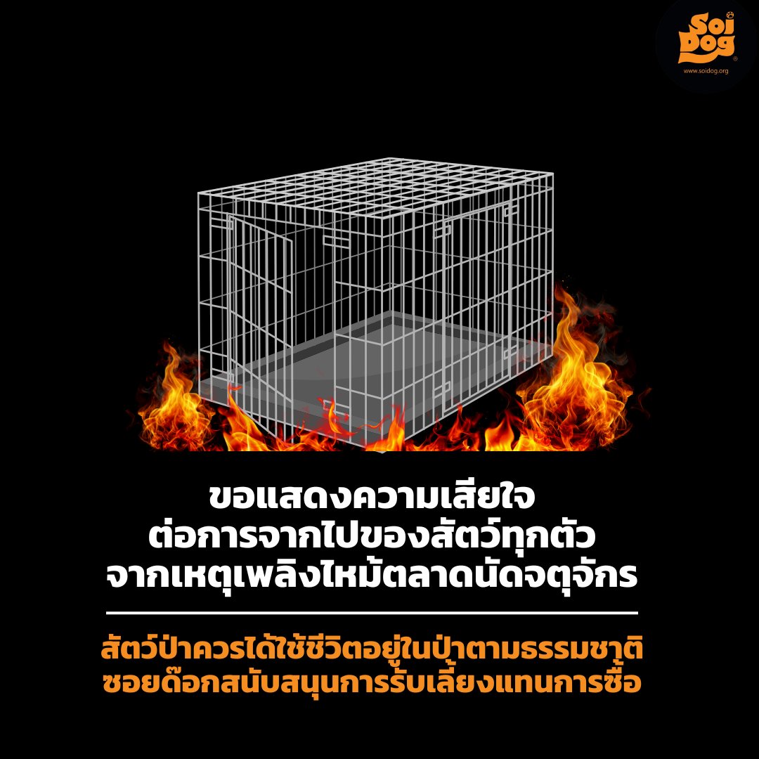 มูลนิธิเพื่อสุนัขในซอย (ซอยด๊อก) tweet media