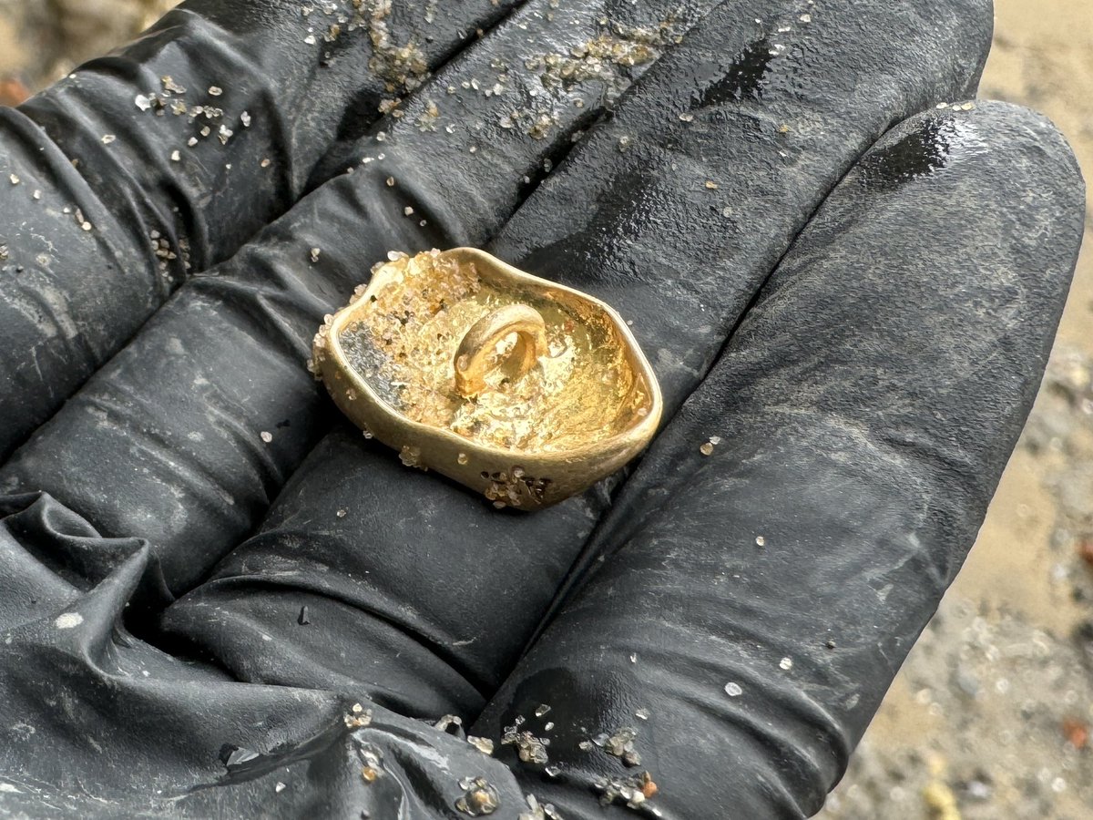 GOLD button. Just found. 

#mudlark #mudlarking #Larking