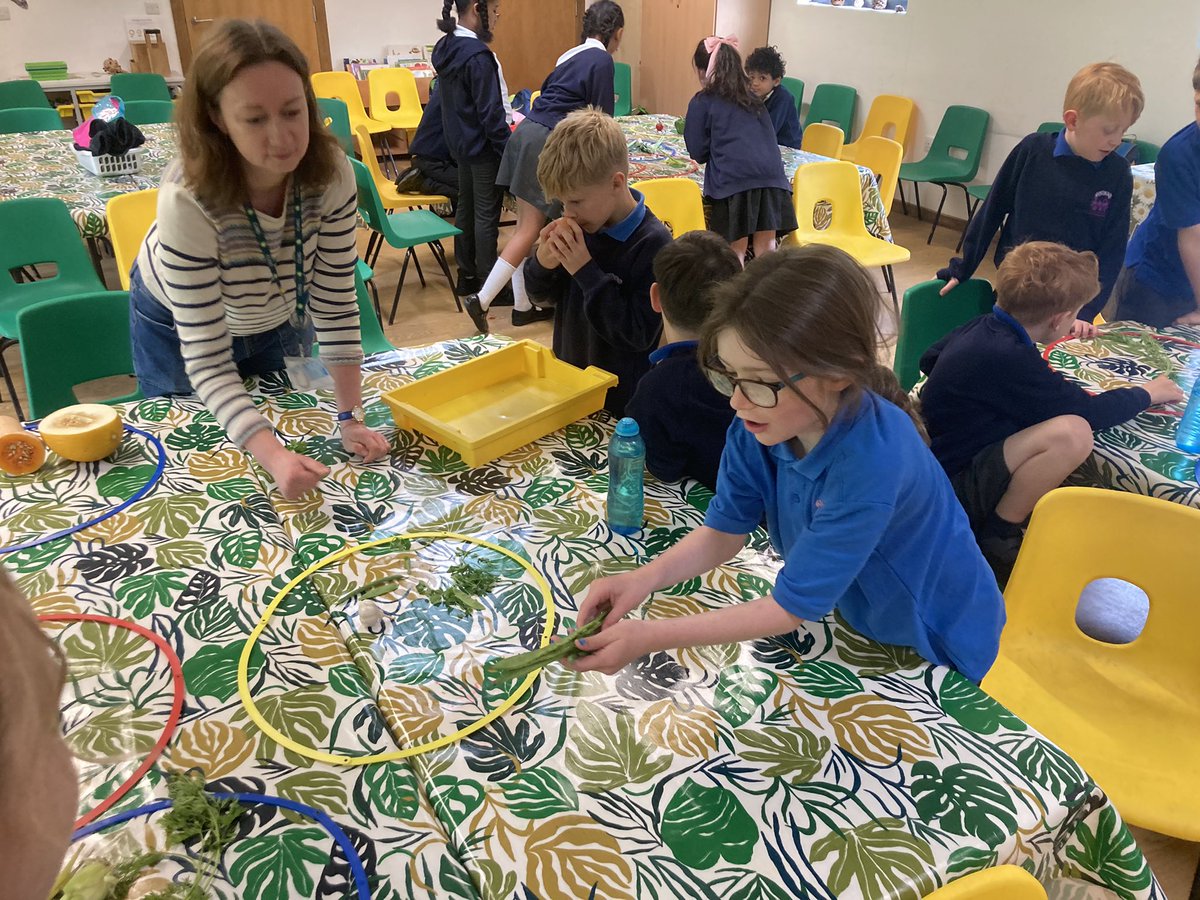 OWPSnightingale's tweet photo. We’re learning to sort different plants. @OWPS_nighthawks #OwpsScience https://t.co/VDL5VP42dl