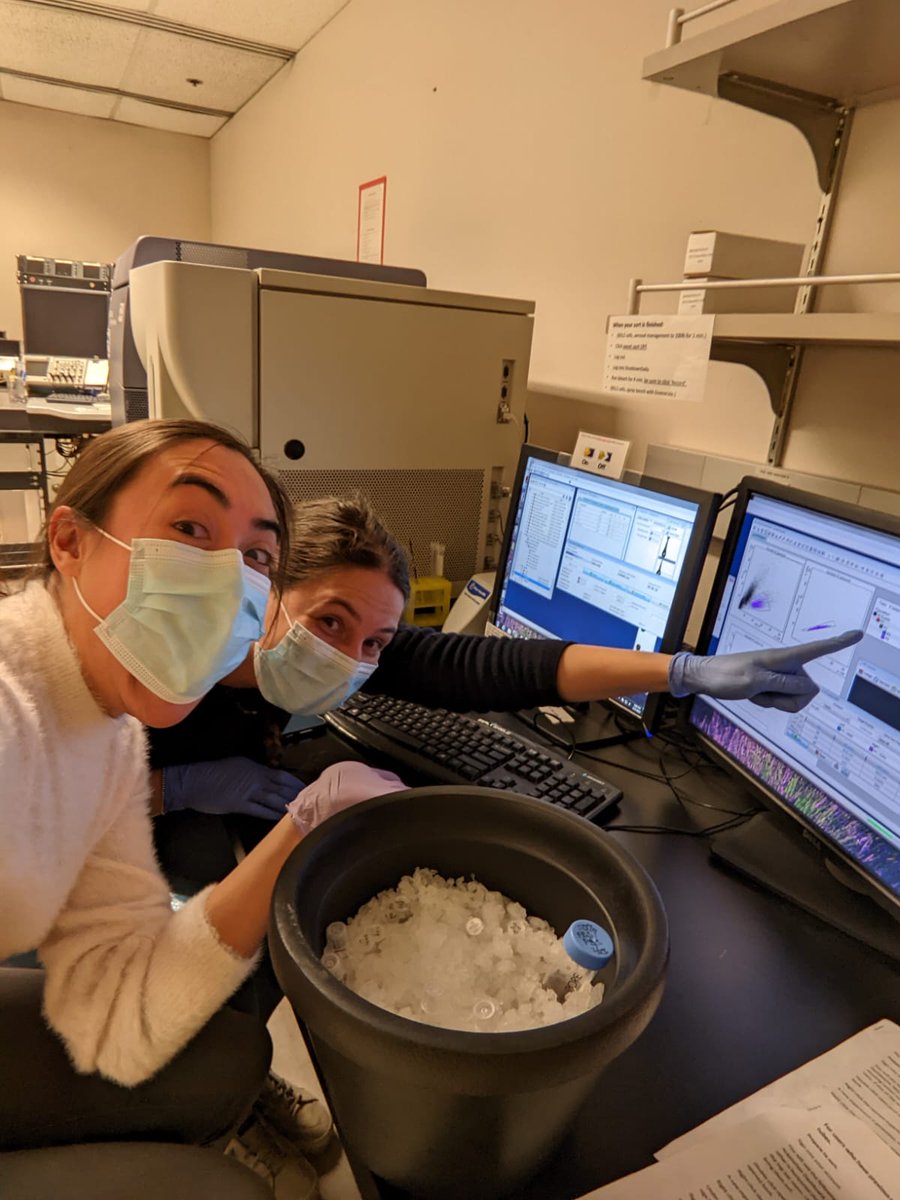 Shout-out to the moment <a href="/MartinaSarchi/">Martina Sarchi</a> and I discovered our crazy plans to model SF3B1 mutations in primary samples actually worked! Check out her amazing story 👇!
