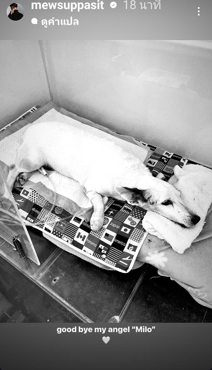 Thongkran4's tweet image. เสียใจด้วยคร้าบ🥺🥺

@MSuppasit 
 #MewSuppasit
 #มิวศุภศิษฏ์