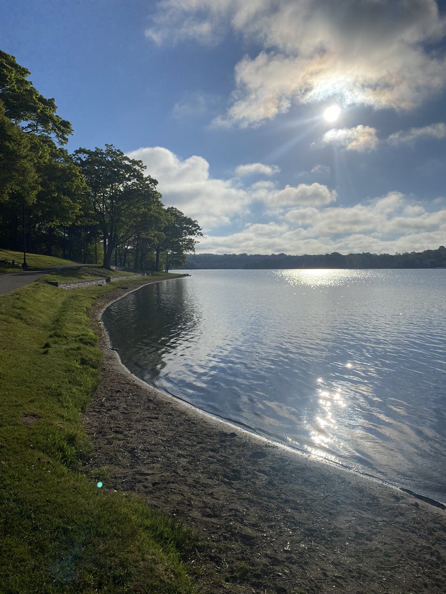 john macleod tweet media