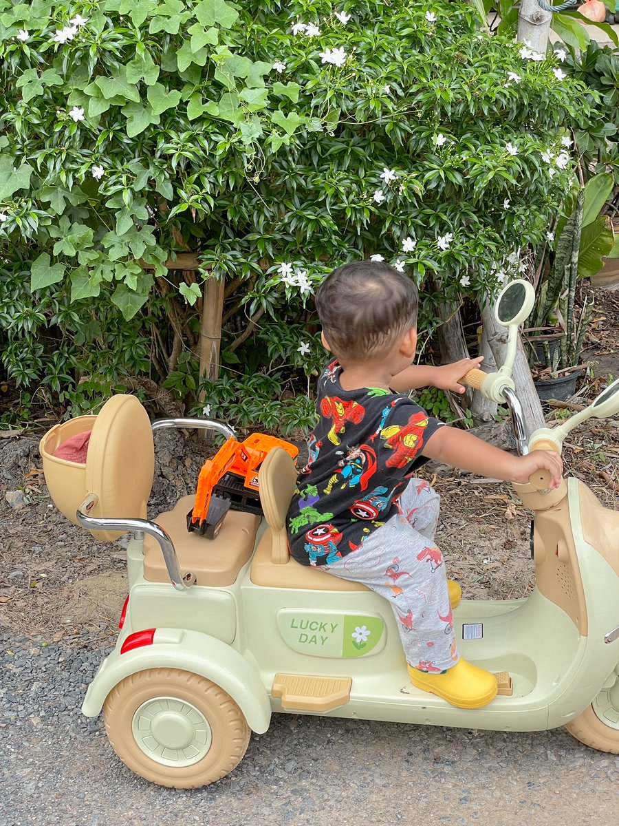 ต้นไม้ของเตนล์ 🌱 tweet media