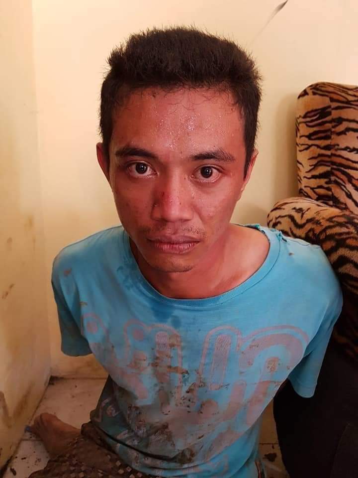 Creepylogy tweet media