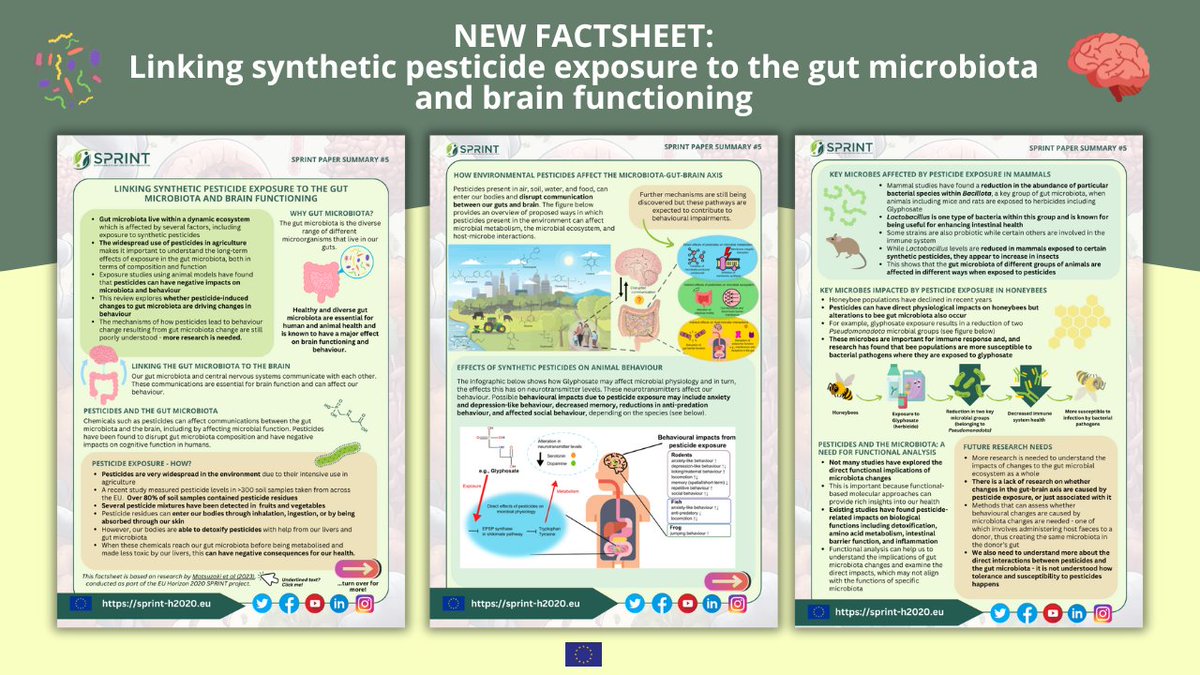 Do synthetic pesticides affect our behaviour? 

Our latest factsheet provides an overview of the links between synthetic #pesticide exposure, gut microbiota, and #brain function!🧠🦠

Check out our summary here: tinyurl.com/yc238dvy
Full review paper: ncbi.nlm.nih.gov/pmc/articles/P…