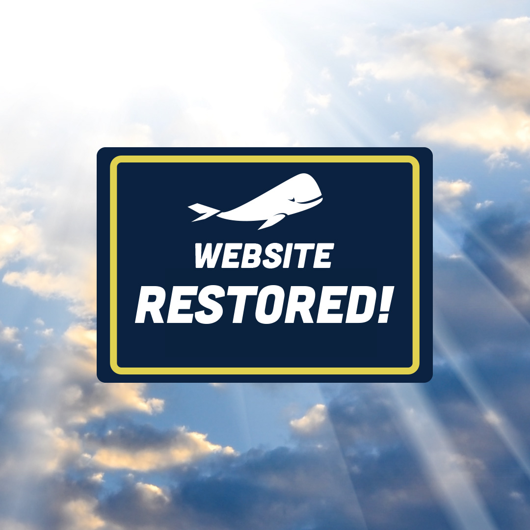 WEBSITE UPDATE: Website has been restored

Please return to booking and managing your flights at:
flythewhale.com

THANK YOU for your patience.