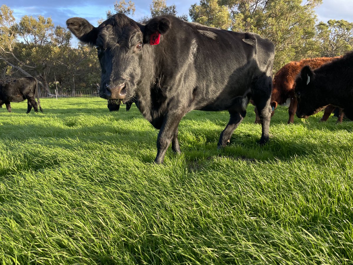 DobbeEric's tweet image. Let’s get the rotation started! It’s been a slog to get to this point, but optimistic about going forward!