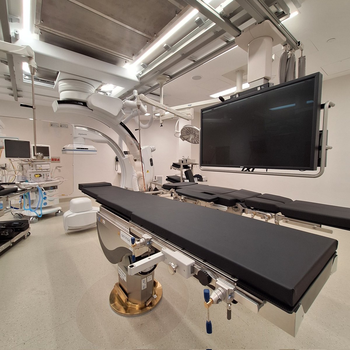 Rhea Liang tweet media