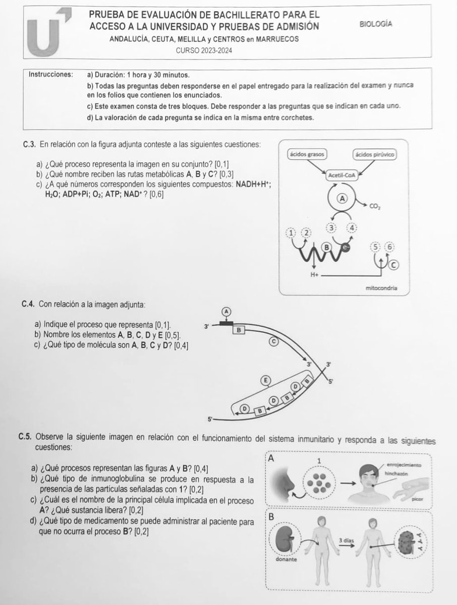 Enrique Viguera tweet media
