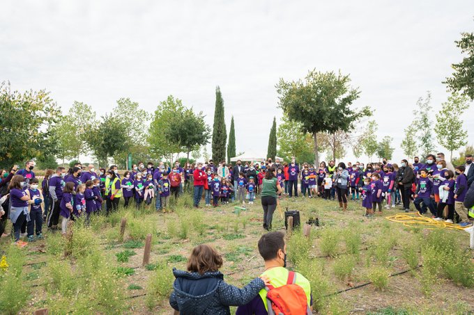 Foto cedida por Un millón de árboles