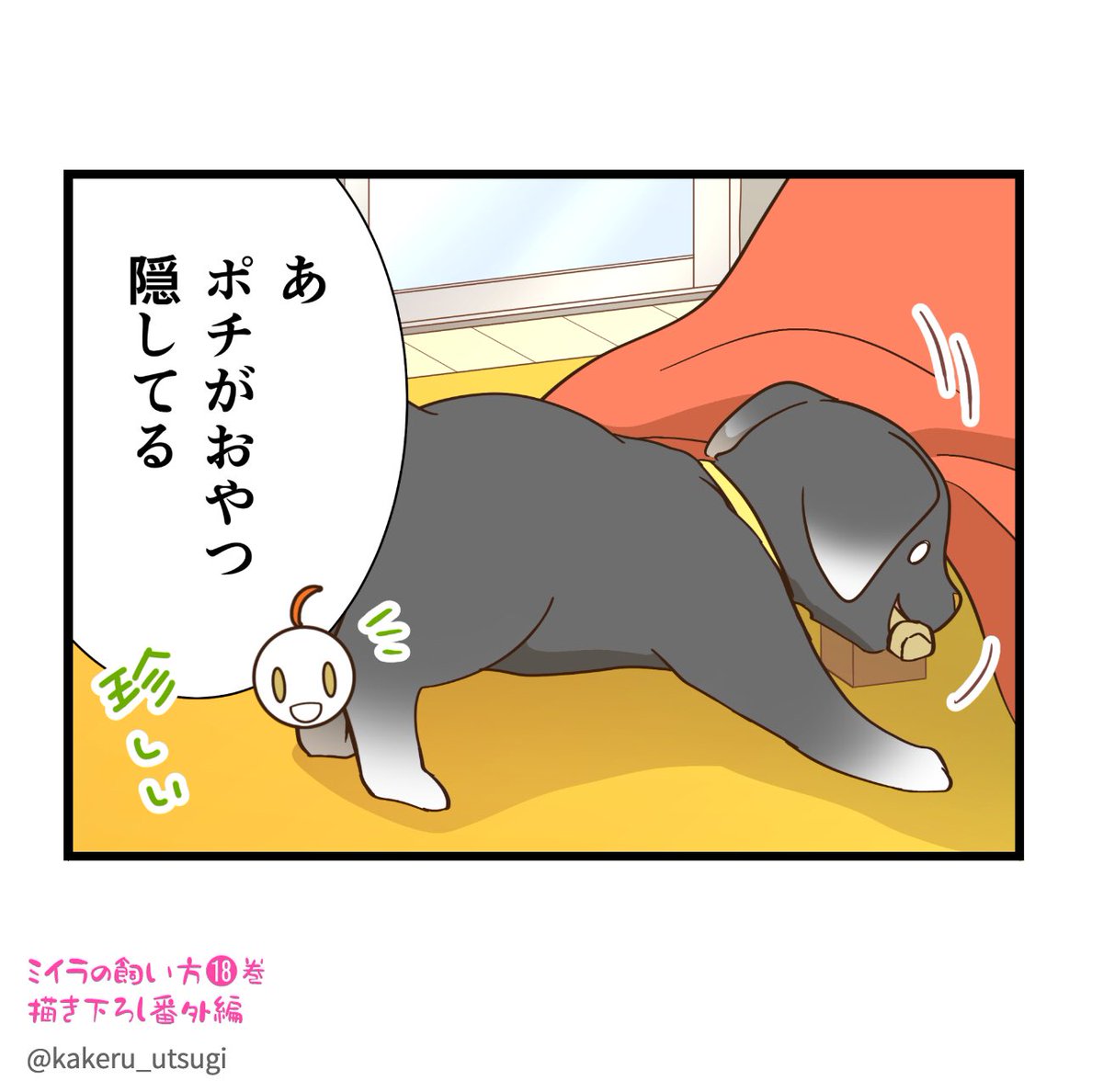 【発売まであと❶日!】
今回の番外編は「4コマ劇場!」🌸
ミイラの飼い方19巻、いよいよ明日発売です!⚇✨
#ミイラの飼い方
#ミイラ単行本カウントダウン