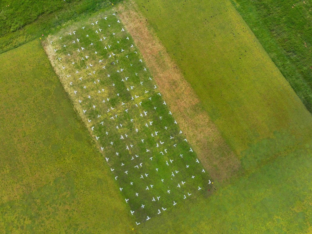 UMN Turfgrass Science (@umnturf) on Twitter photo Read the latest #WinterTurf blog: Spring putting green establishment following simulated winterkill by <a href="/PerkinsonPayton/">Payton Perkinson</a>, <a href="/MSUTurf/">Kevin W. Frank</a>, and Eric Galbraith.
winterturf.umn.edu/spring-putting…
Learn how the timing of spring seeding and seed type affect establishment after winter damage. Read the latest #WinterTurf blog: Spring putting green establishment following simulated winterkill by <a href="/PerkinsonPayton/">Payton Perkinson</a>, <a href="/MSUTurf/">Kevin W. Frank</a>, and Eric Galbraith.
winterturf.umn.edu/spring-putting…
Learn how the timing of spring seeding and seed type affect establishment after winter damage.