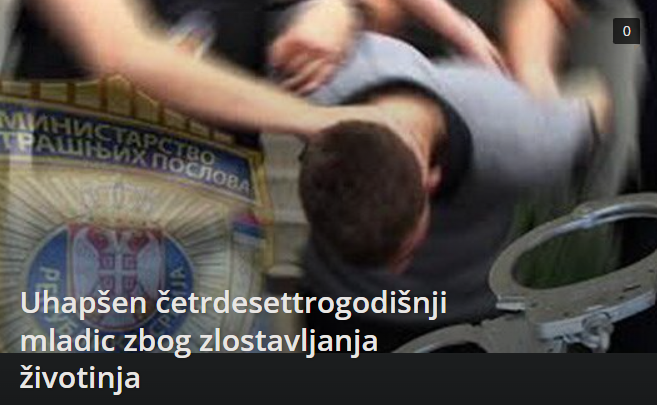 Трбушњак Дарије Ставрович tweet media