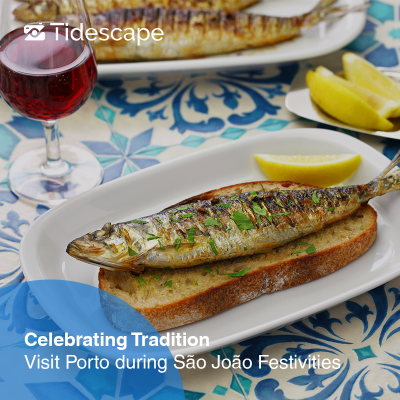 Tidescape - Exclusive Moments tweet media