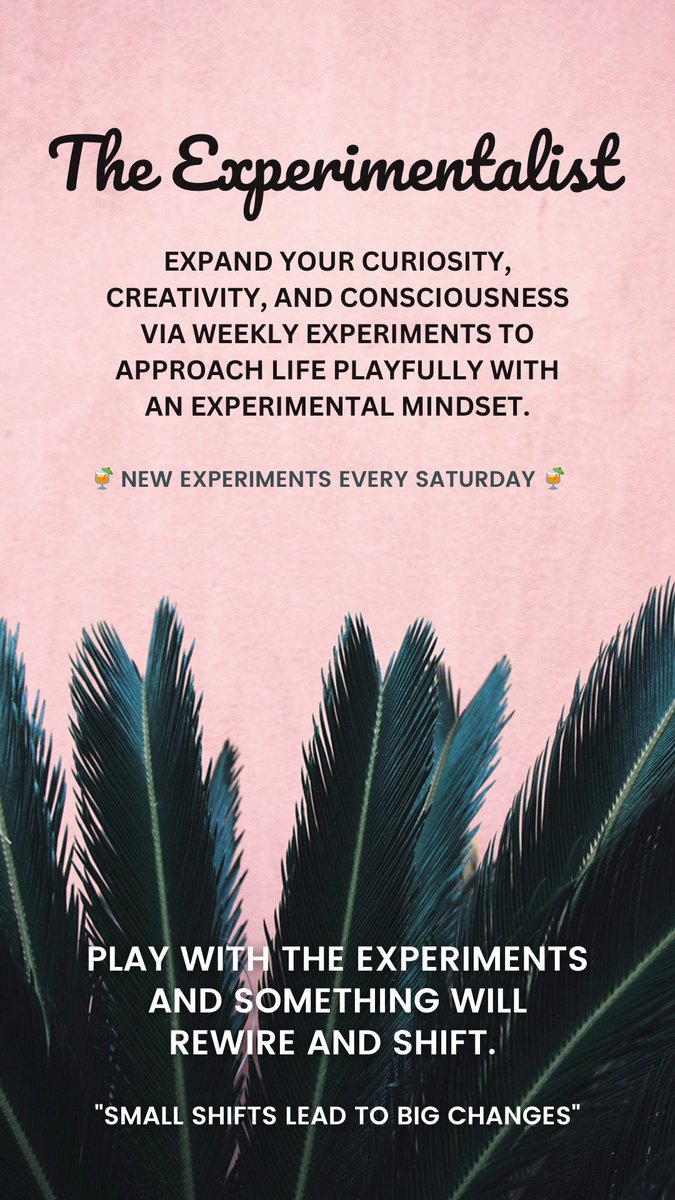 Polly Nowik tweet media