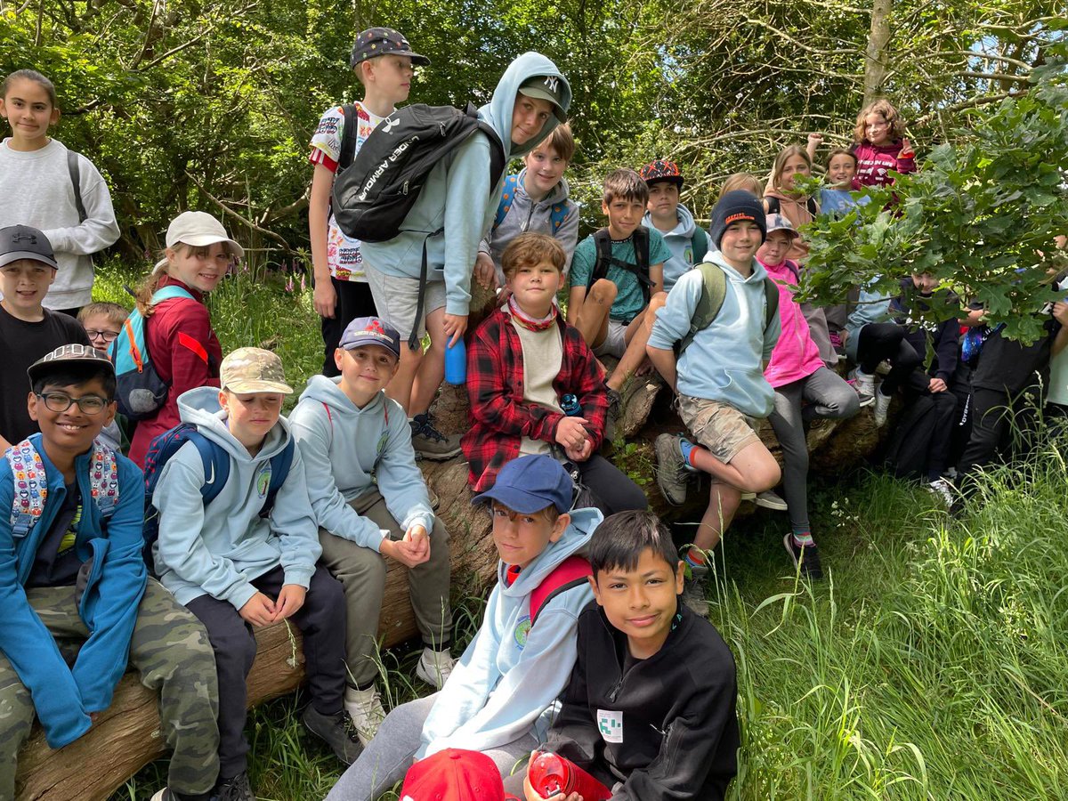 BPSYearSix tweet media
