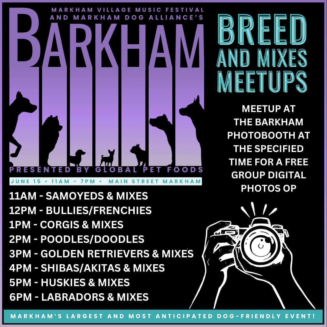 Sheraton Parkway Toronto North Hotel & Suites (@sheratonparkway) on Twitter photo Heading to #Barkham <a href="/mvmfestival/">Markham Village Music Festival</a> on Saturday June 15th from 11am to 7pm? Thank you to the #MarkhamDogAlliance for organizing this free #dogfriendly event. @heratonParkway is a #petfriendly hotel and welcomes up to 2 pets per room for only $50 per stay. sheratonparkway.com Heading to #Barkham <a href="/mvmfestival/">Markham Village Music Festival</a> on Saturday June 15th from 11am to 7pm? Thank you to the #MarkhamDogAlliance for organizing this free #dogfriendly event. @heratonParkway is a #petfriendly hotel and welcomes up to 2 pets per room for only $50 per stay. sheratonparkway.com