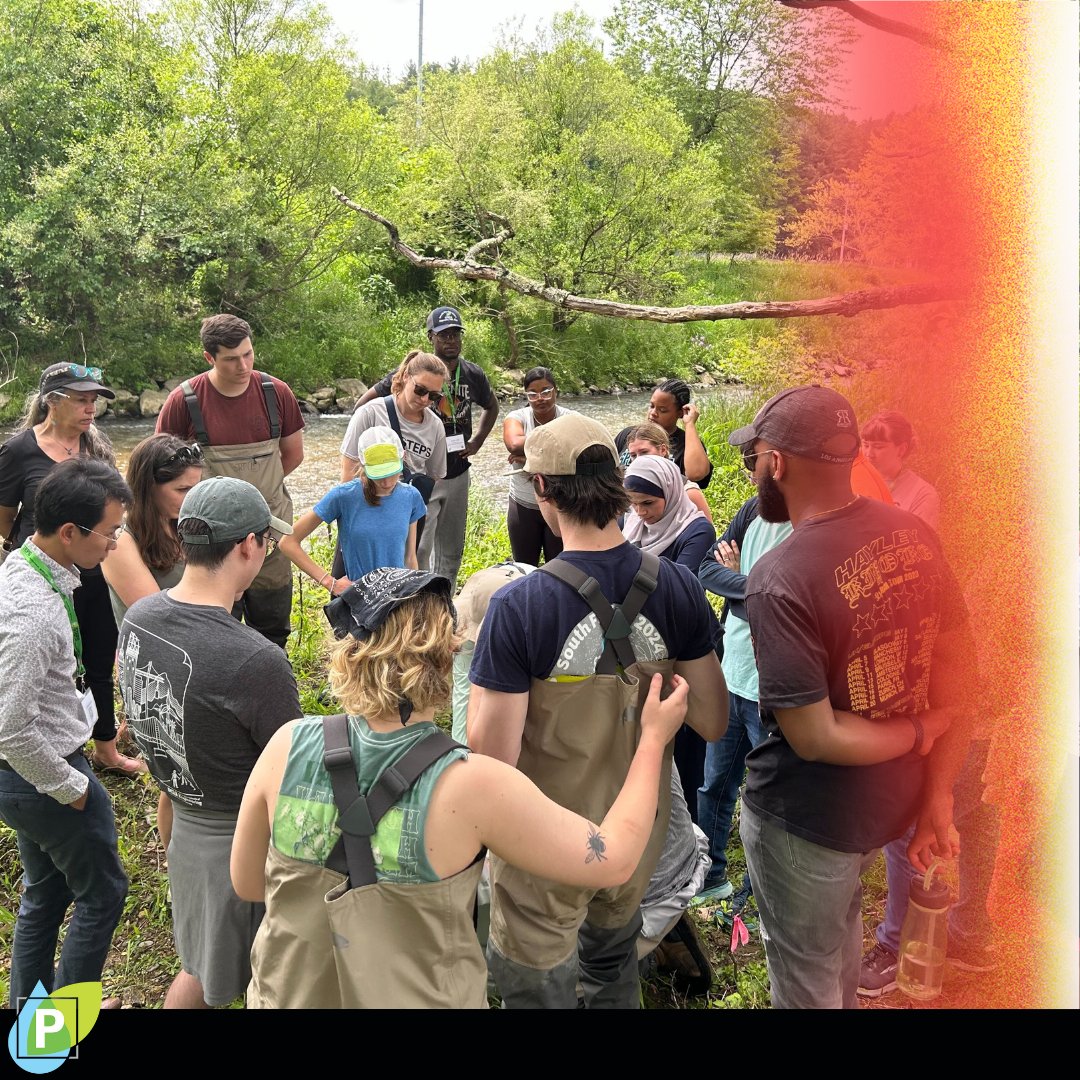 STEPS Center tweet media