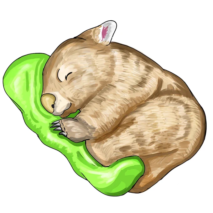 ウォンバット描きました#ウォンバット 