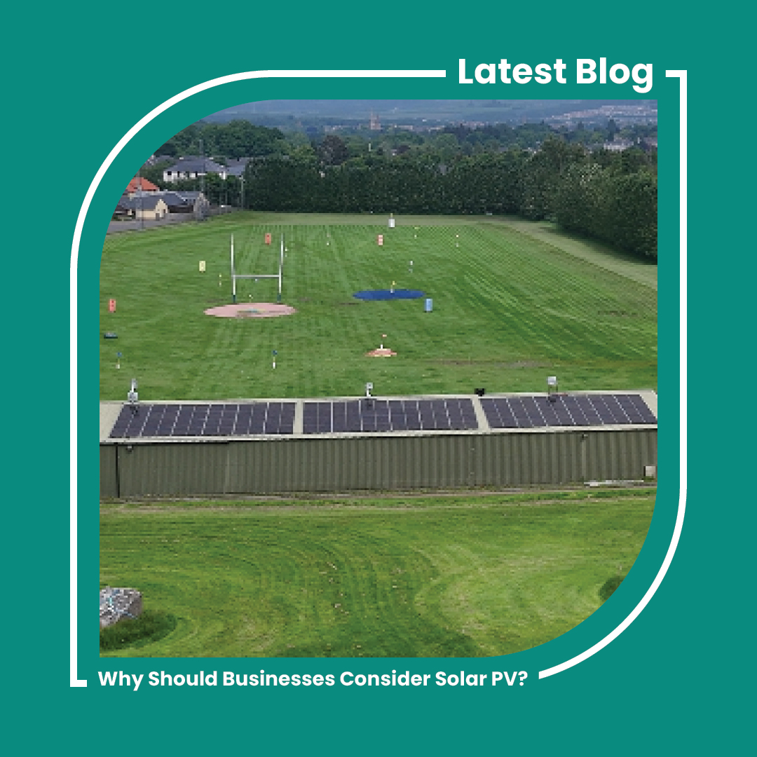 gensource's tweet photo. Why Should Businesses Consider Solar PV? ๐ค
By harnessing the power of the sun, businesses can achieve significant financial savings, increased energy security and reduce their environmental impact.
Read more here: https://t.co/kzEEpo4sGv
.
#Gensource
#CommercialSolar
#SolarPV https://t.co/TfowhzemBT